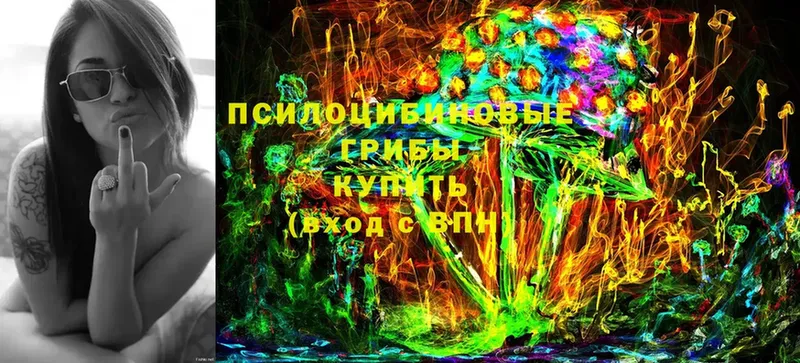 Псилоцибиновые грибы мицелий Никольское